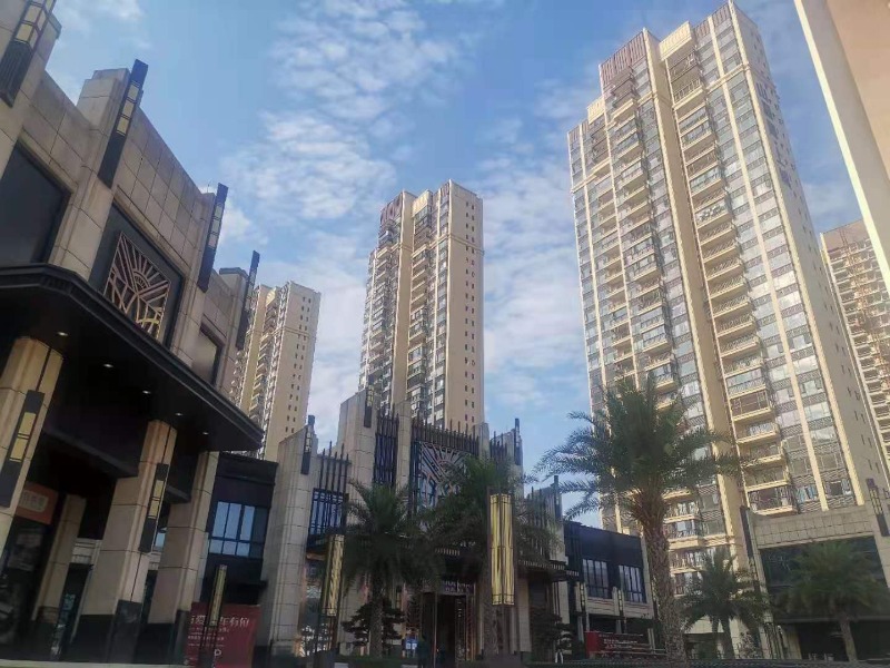 項目案例